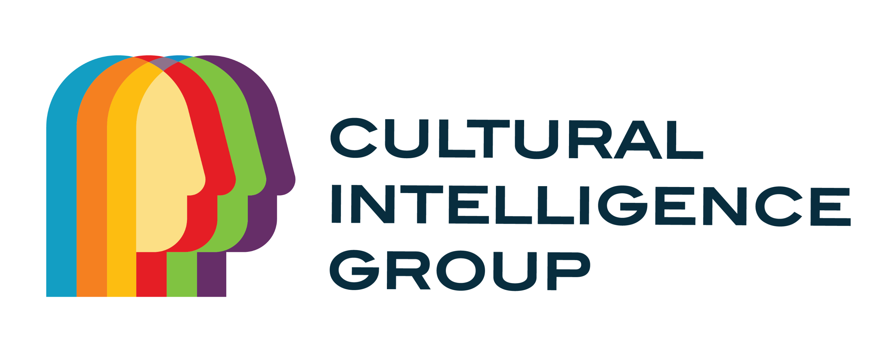 Cultural Intelligence Group logo; Multicolor layered silhouette of a human face to the left of Cultural Intelligence Group
