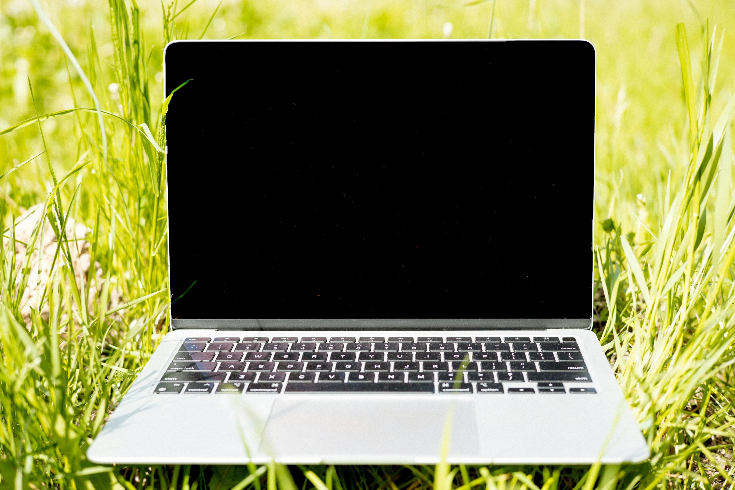 Earth Month spotlight: thoughtful AI for a sustainable future