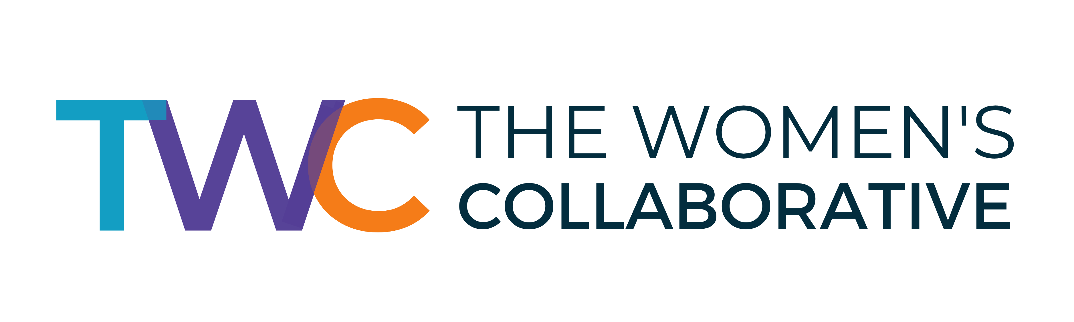 Logo for The Women's Collaborative event